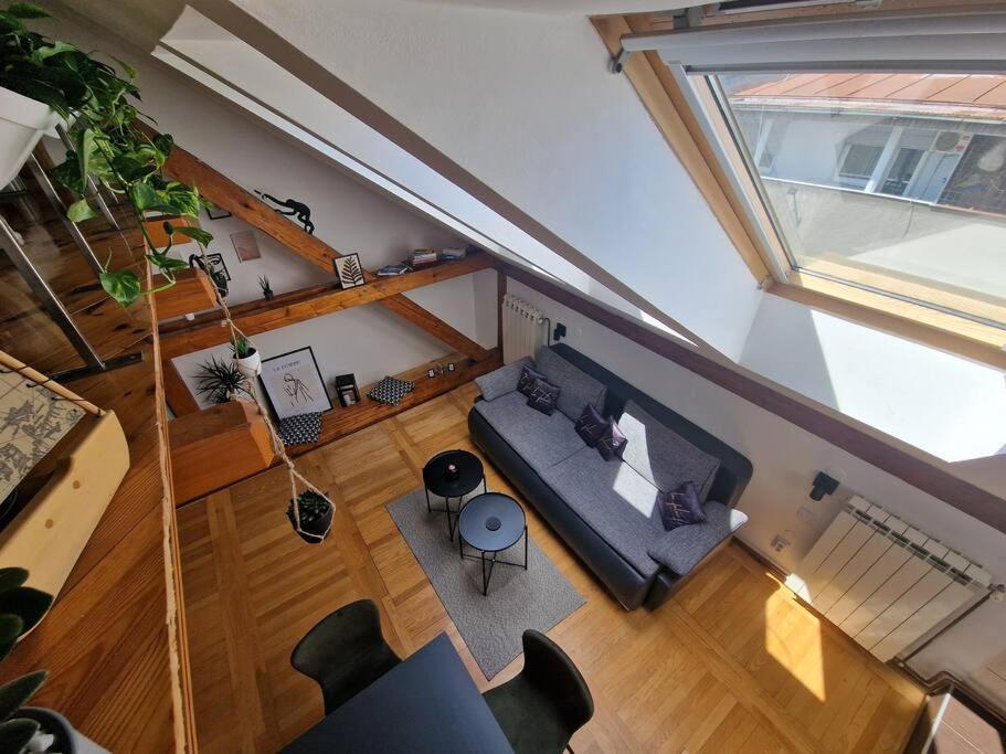 Captain Misha'S Place Belgrád Kültér fotó