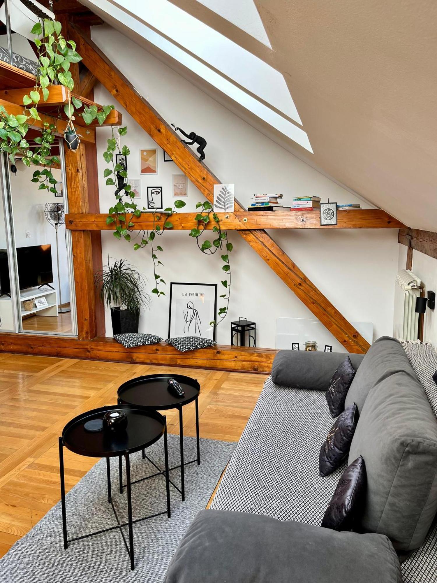 Captain Misha'S Place Belgrád Kültér fotó